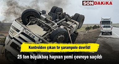 Kontrolden çıkan tır şarampole devrildi: 25 ton büyükbaş hayvan yemi çevreye saçıldı