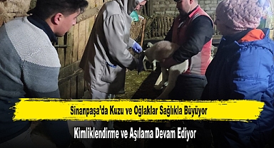Kuzu ve Oğlaklara Kimliklendirme ve Aşılama Çalışmaları Sürüyor