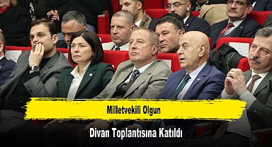 Milletvekili Olgun, Divan Toplantısına Katıldı