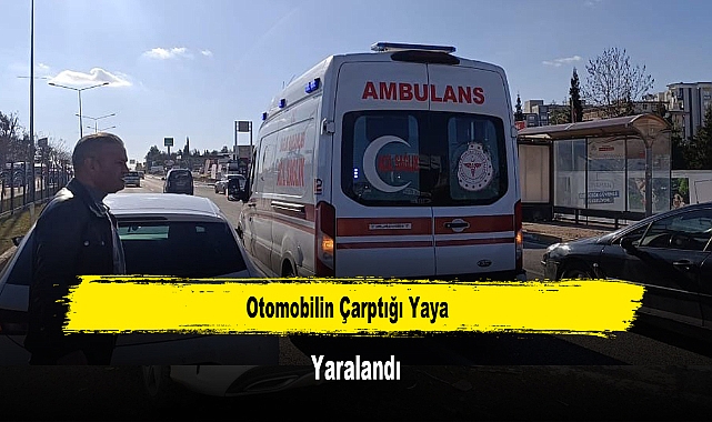 Otomobilin Çarptığı Yaya Yaralandı