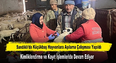 Sandıklı’da Küçükbaş Hayvanlara Aşılama Çalışması Yapıldı