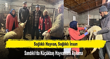 Sandıklı’da Küçükbaş Hayvanlara Aşılama Yapıldı