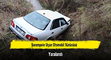 Şarampole Uçan Otomobil Sürücüsü Yaralandı