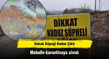 Sokak Köpeği Kuduz Çıktı: Mahalle karantinaya alındı!