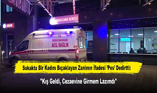 Sokakta Bir Kadını Bıçaklayan Zanlının İfadesi ’Pes’ Dedirtti: "Kış Geldi, Cezaevine Girmem Lazımdı"