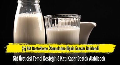 Süt Üreticisi Temel Desteğin 5 Katı Kadar Destek Alabilecek