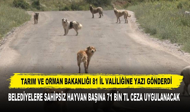 TARIM VE ORMAN BAKANLIĞI 81 İL VALİLİĞİNE YAZI GÖNDERDİ