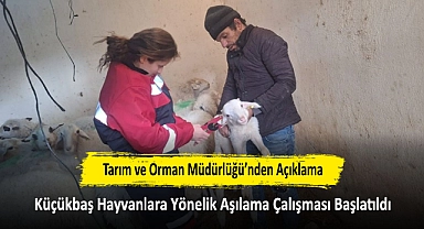Tarım ve Orman Müdürlüğü’nden Açıklama: Küçükbaş Hayvanlara Yönelik Aşılama Çalışması Başlatıldı