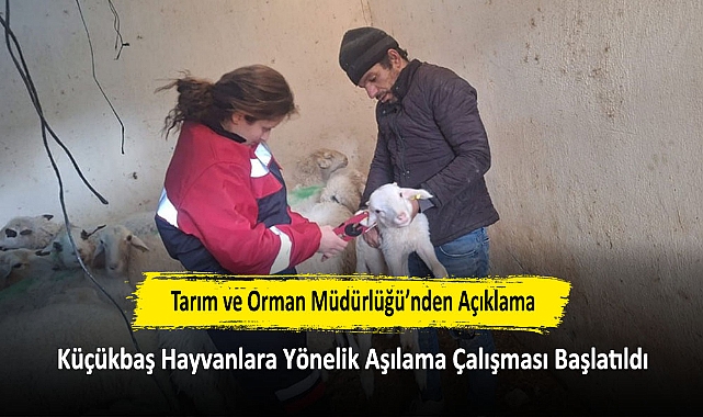 Tarım ve Orman Müdürlüğü’nden Açıklama: Küçükbaş Hayvanlara Yönelik Aşılama Çalışması Başlatıldı