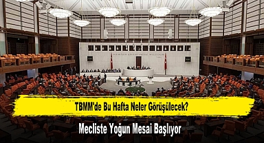 TBMM'de Bu Hafta Neler Görüşülecek? Mecliste Yoğun Mesai Başlıyor