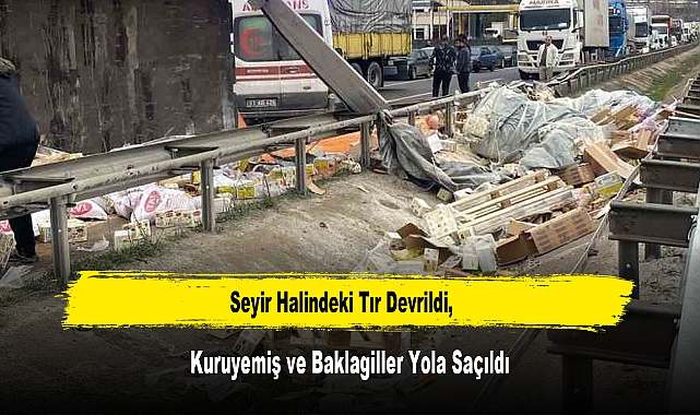 Tır Devrildi, Kuruyemiş ve Baklagiller Yola Saçıldı