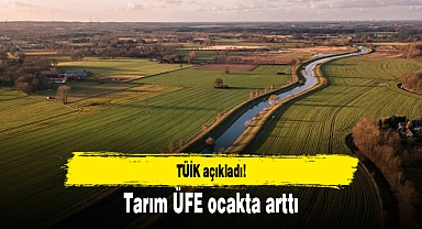 TÜİK açıkladı! Tarım ÜFE ocakta arttı