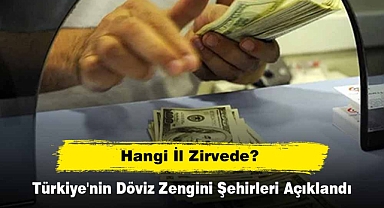 Türkiye'nin Döviz Zengini Şehirleri Açıklandı