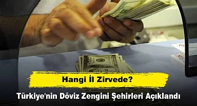 Türkiye'nin Döviz Zengini Şehirleri Açıklandı