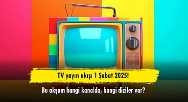 TV yayın akışı 1 Şubat 2025! Bu akşam hangi kanalda, hangi diziler var?