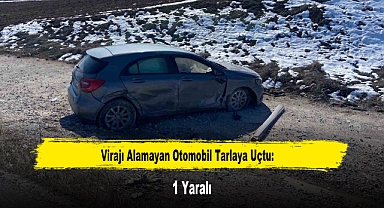 Virajı Alamayan Otomobil Tarlaya Uçtu: 1 Yaralı