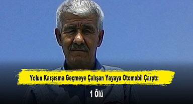 Yolun Karşısına Geçmeye Çalışan Yayaya Otomobil Çarptı: 1 Ölü