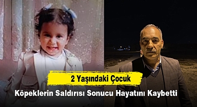 2 Yaşındaki Çocuk Köpeklerin Saldırısı Sonucu Hayatını Kaybetti