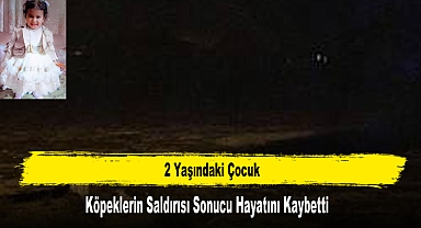 2 Yaşındaki Çocuk Köpeklerin Saldırısı Sonucu Hayatını Kaybetti