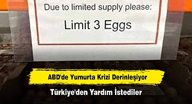 ABD'de Yumurta Krizi Derinleşiyor: Türkiye'den Yardım İstediler