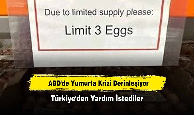 ABD'de Yumurta Krizi Derinleşiyor: Türkiye'den Yardım İstediler