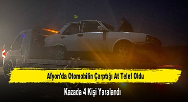 Afyon'da Otomobilin Çarptığı At Telef Oldu: 4 Kişi Yaralandı