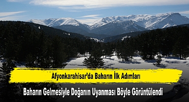 Afyonkarahisar’da Baharın Gelmesiyle Doğanın Uyanması Böyle Görüntülendi