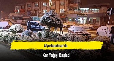 Afyonkarahisar'da Kar Yağışı Başladı