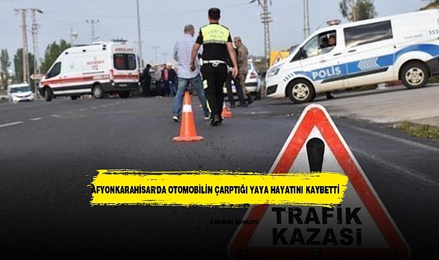 AFYONKARAHİSAR'DA OTOMOBİLİN ÇARPTIĞI YAYA HAYATINI KAYBETTİ