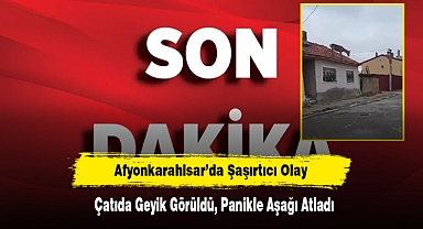 Afyonkarahisar'da Şaşırtıcı Olay: Çatıda Geyik Görüldü, Panikle Aşağı Atladı