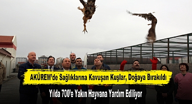 AKÜREM’de Sağlıklarına Kavuşan Kuşlar, Doğaya Bırakıldı