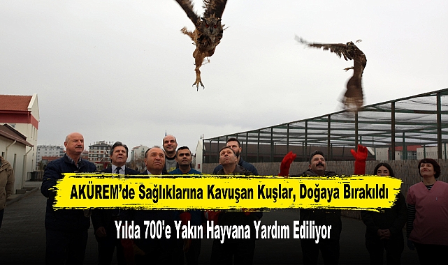 AKÜREM’de Sağlıklarına Kavuşan Kuşlar, Doğaya Bırakıldı