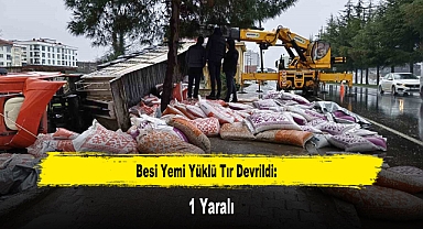 Besi Yemi Yüklü Tır Devrildi: 1 Yaralı