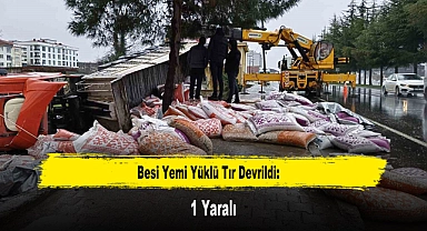 Besi Yemi Yüklü Tır Devrildi: 1 Yaralı