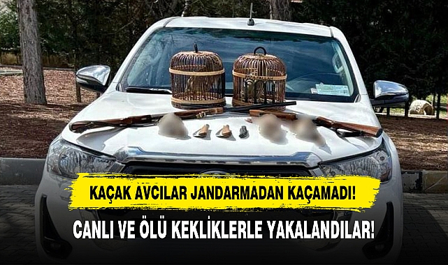 CANLI VE ÖLÜ KEKLİKLERLE YAKALANDILAR!