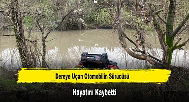 Dereye Uçan Otomobilin Sürücüsü Hayatını Kaybetti