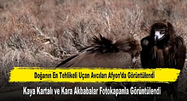 Doğanın En Tehlikeli Uçan Avcıları Afyon'da Görüntülendi