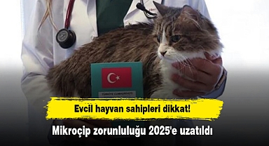 Evcil hayvan sahipleri dikkat! Mikroçip zorunluluğu 2025'e uzatıldı