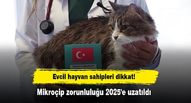 Evcil hayvan sahipleri dikkat! Mikroçip zorunluluğu 2025'e uzatıldı