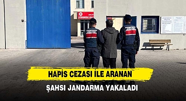 Hapis Cezası İle Aranan Şahsı Jandarma Yakaladı