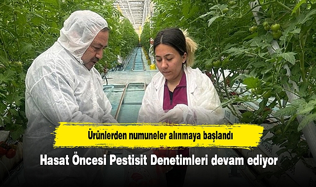 Hasat öncesi Pestisit denetimleri devam ediyor