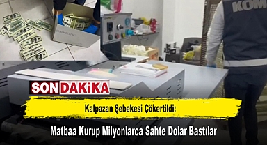 Kalpazan Şebekesi Çökertildi: Matbaa Kurup Milyonlarca Sahte Dolar Bastılar