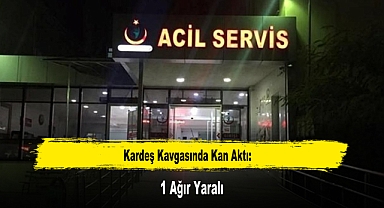 Kardeş Kavgasında Kan Aktı: 1 Ağır Yaralı