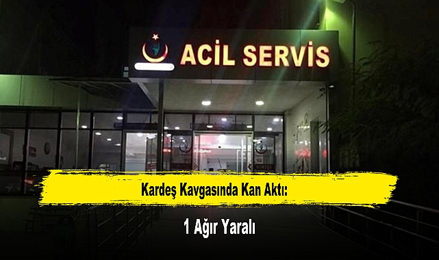 Kardeş Kavgasında Kan Aktı: 1 Ağır Yaralı
