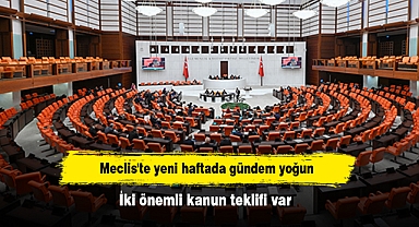Meclis'te yeni haftada gündem yoğun: İki önemli kanun teklifi var