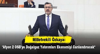 Milletvekili Özkaya: