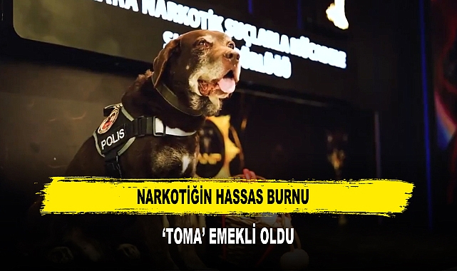 NARKOTİĞİN HASSAS BURNU  ‘TOMA’ EMEKLİ OLDU