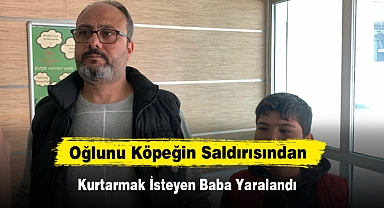 Oğlunu Köpeğin Saldırısından Kurtarmak İsteyen Baba Yaralandı