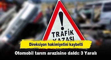 Otomobil tarım arazisine daldı: 3 Yaralı