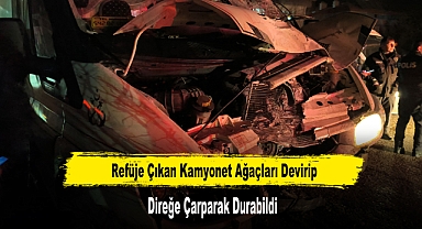 Refüje Çıkan Kamyonet Ağaçları Devirip, Direğe Çarparak Durabildi